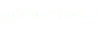 ¿ QUIÉNES SOMOS ? 